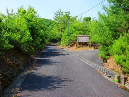 空が明るくなった付近までくればあともう少しで林道が終わりそう。ここはもちろん直進する