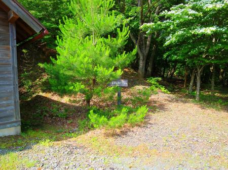 ここから登山道になる。長老ヶ岳まで3.5kmと長そうに感じた