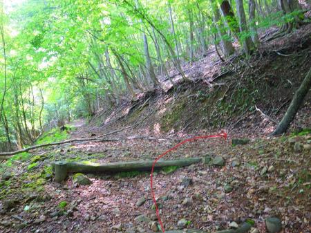 登山道で階段を登りきったところに最初の分岐と思われる場所があった。ここは右へ登っていく