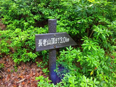 あと3kmという地点。ところどころにこういう距離を記載してくれてるのは有難いけど、さっきのところからまだ500mしかきてないのね