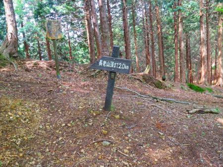 ここで尾根と合流であと2km地点。地図を確認するとこの尾根の先が山頂のようだ。ちなみに距離の案内はこの後なくなる