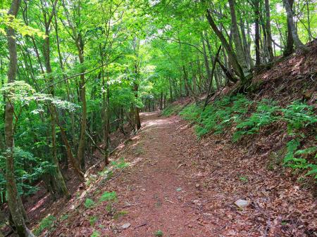 なだらかな尾根道が続く。こういうところは歩いていて気持ちがいい。ペースも乱れないし疲れない