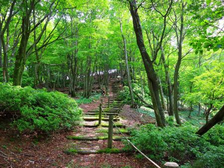 長老ヶ岳への登り。階段が続くけどそんなにしんどくない。この山は山頂までしんどいところはなかったように思う