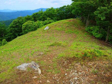 行動を開始。さてここからどうするか、地蔵杉までいくか考えながら歩いていく。ピストンは考えてなかった