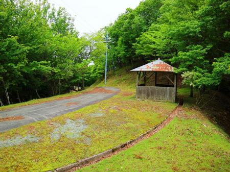 一旦、管理道にでたけど、このまま下っていくのもありだけど少し考えた