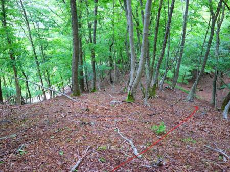 831ピークを少し下ったところで管理道が見える。尾根から右へ右へ下って行けば管理道に出ることができそうだったので無理矢理下った