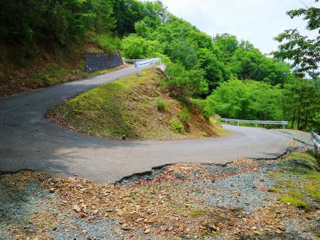 管理道に出た。ここから最後まで林道の舗装道歩きとなる