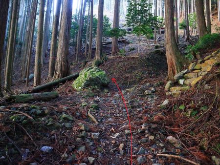 さっそく分岐があるんだけど、方角からして左。右の石段の上にはなんか祠があった