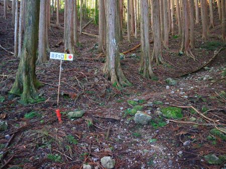 このルートは親切にも道標がいたるところにある。尾根でも谷でもないトラバースルートで地形が読みにくいので有難い