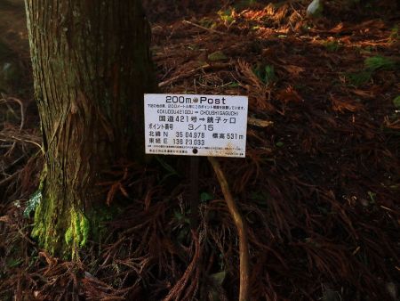 初めて目にしたポイント看板。今はまだ15分の3地点で5分の1しかきてないのか。200メートル毎って書いてるけど、もっとあるように思うんだけどね