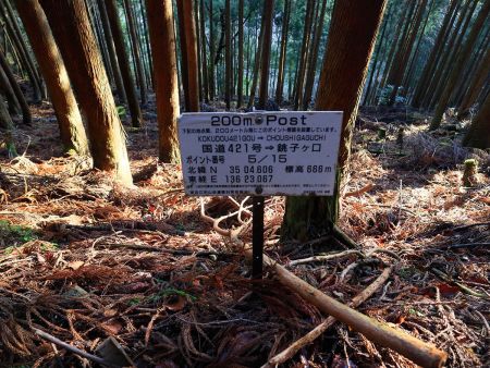 やっと15分の5地点で3分の1まできた。なだらかな登りだったので、やはり標高はあまり稼げていない