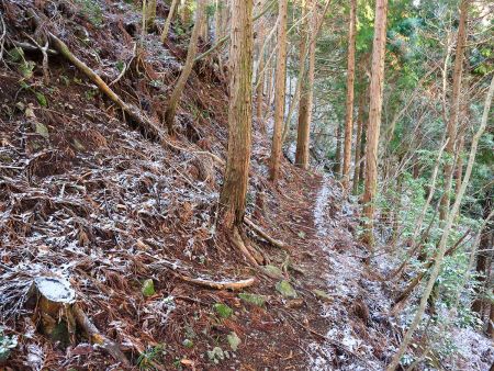 雪がちらほらでてきた。まあアイゼンはいらないだろうけど、山頂は積もってるのかもしれないと思いながら歩いていく