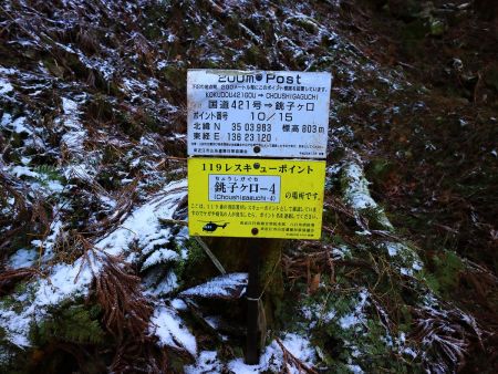 15分の10地点で3分の2のところまできた。ここからどうやら沢筋の道になる