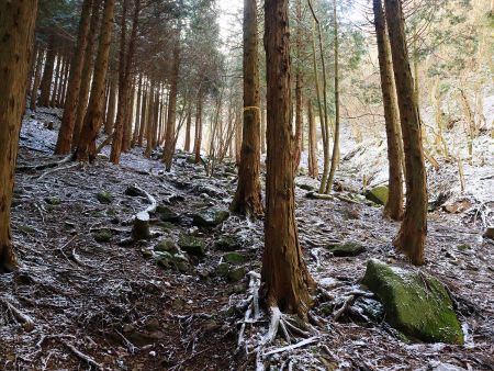 このあたりからガレ場もちらほら歩くことになる。雪の量がちょっと増えてきたけど雪道といえるほどでもない