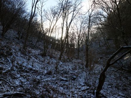 取りつく尾根が見えたけど、近くみえて結構登らないといけない感じだと思った