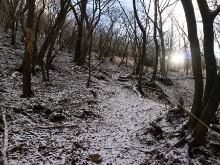 ここ少し急登だけど距離は短いのでしんどくなかった。それより下りで泥で滑らないように注意しないといけない