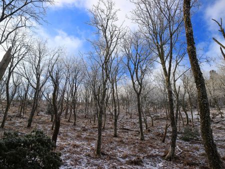 この時期に青空とちょっとした霧氷が見れるとは思わなかった。先日雨降ったのに流れなかったことにびっくりした