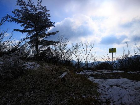 尾根まで登ってきた。銚子ヶ口は右だけど、すぐ左に展望が良さそうなところがあったので立ち寄ることにした