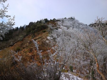 さて、銚子ヶ口東峰に登っていく。まあ登りはすぐだったけどね