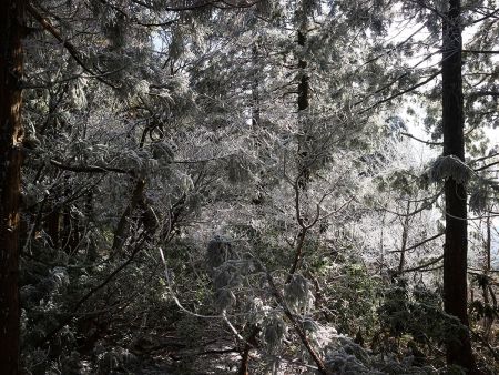 さっさと下山する。こんな霧氷が見れるとは思わなかった。まあでも今季はこれで終わりかな