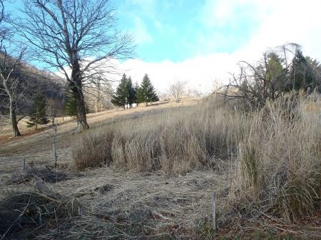 スキー場はまだ雪なし