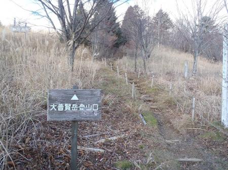 ここからスタート