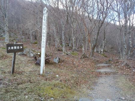 ここからしばらくなだらかな登り