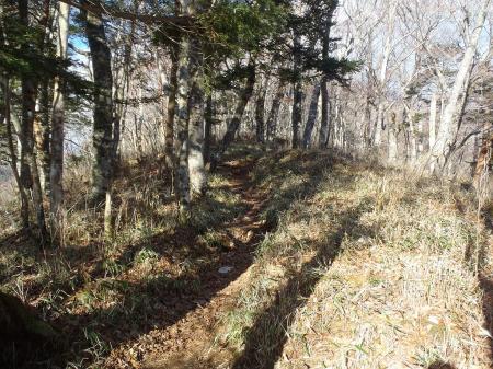 こういう感じが続く