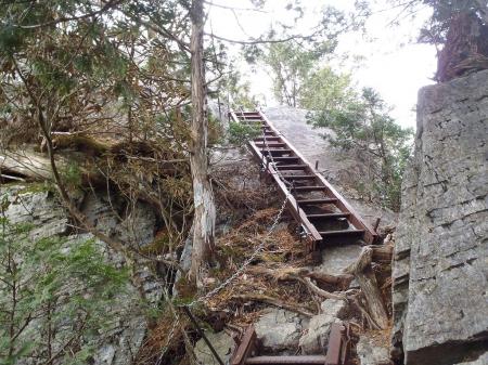 長い梯子もある