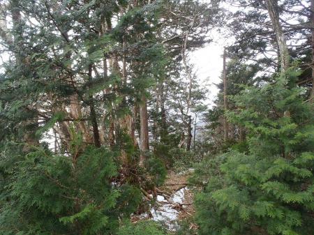 せっかくなので小普賢岳のピークへ