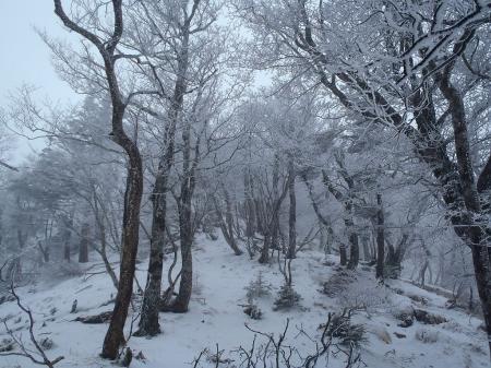 大普賢岳への登りはもう雪山