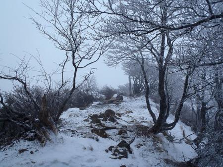 大普賢岳のピークがみえた