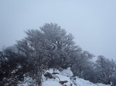 すっかりガスの中