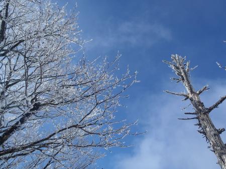 青空がでてきた