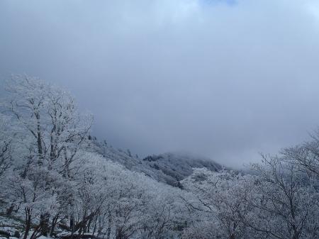 ガスがはけてこれから進む樹氷の稜線道がみえた