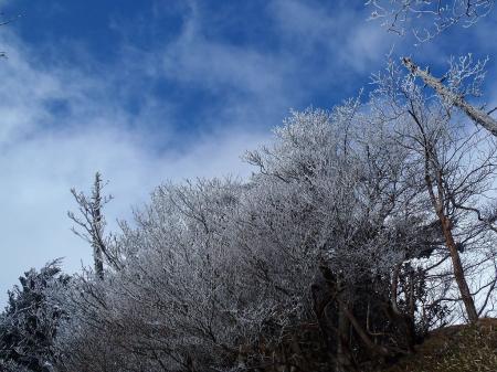 青空を狙って撮影
