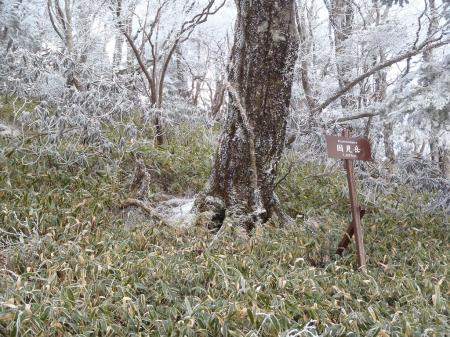国見岳のコルに到着。時間はかなり遅れ気味