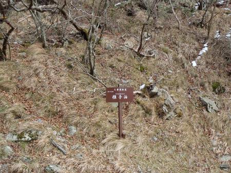 稚子泊に到着。ここで休憩する