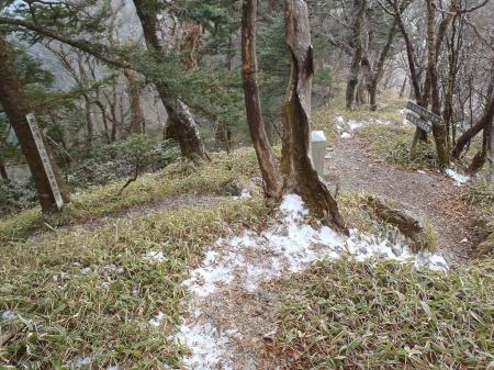 下りの始まり。これを左へ。