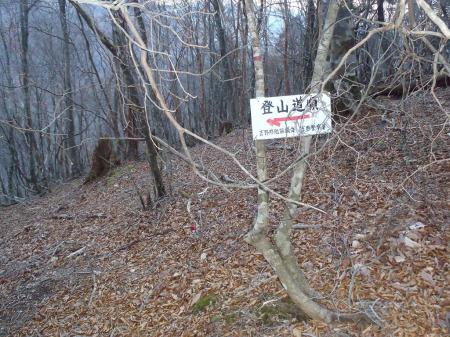 ここからさらに一気に谷へ下る