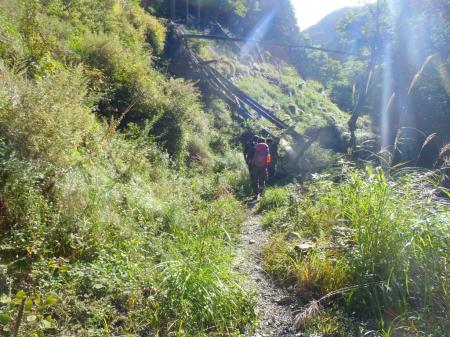 やっと登山道らしきなってきた