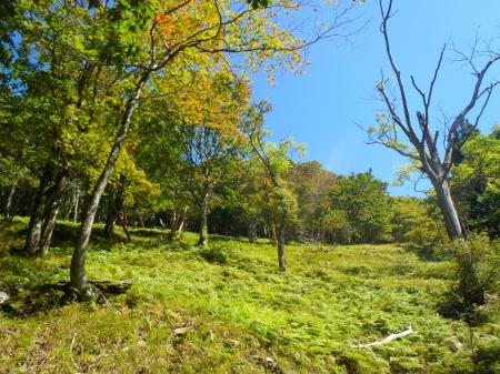 明神平直下。ここまでくるとあと少し天気もバッチリ！