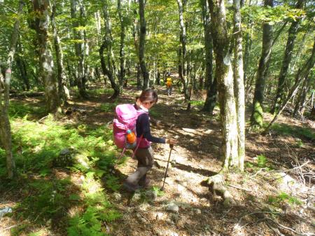 明神岳から一旦下る。この登り返しがちょいキツかった！