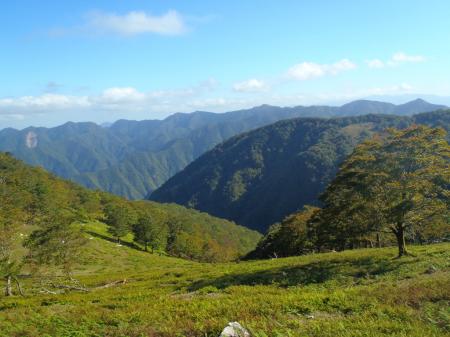 こっちもいい感じ