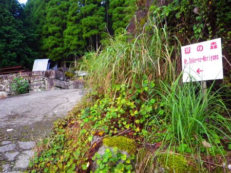 嶽の森と書かれた道標に従ってこの坂を上がっていく