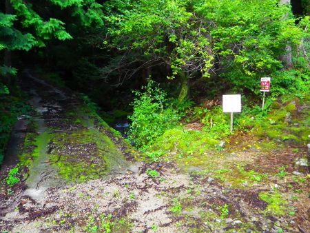 ここを右に登っていく。左の道は全く別のところに行くので注意