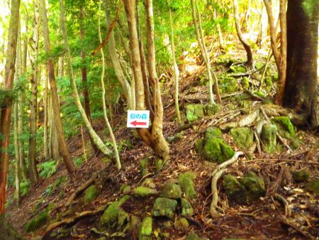 ここから尾根沿いのトラバースの道がひたすら続いていく