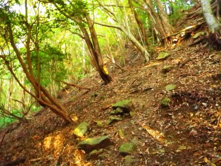 ここがちょっとわかりにくいけど、とにかくわずかな踏み跡やテープがあるのでそれに従って進んでいく