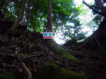 先に雌岳に登ることにするので右へ。左が嶽ノ森山の山頂（雄岳）になる