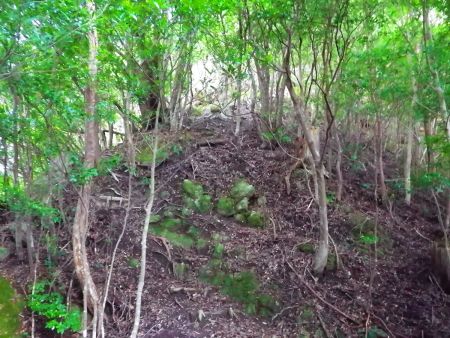 コルまで下っていよいよ嶽ノ森山の山頂（雄岳）へ登っていく